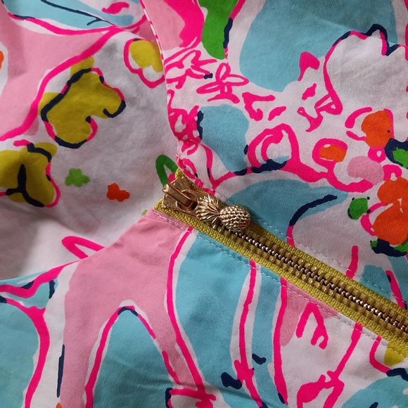 Lilly Pulitzer dress - Picture 4 of 4